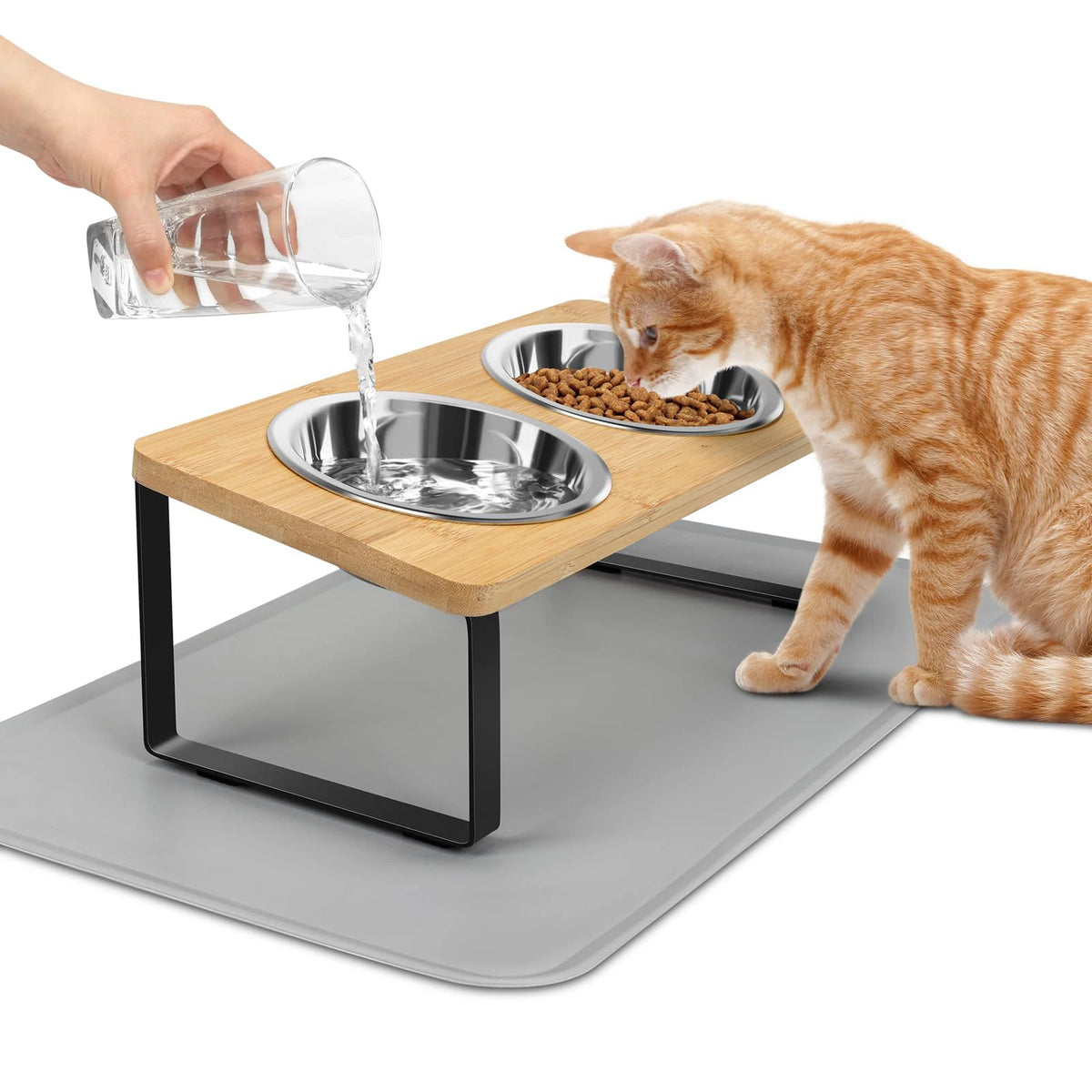 Ciotole elevate per gatto con vassoio antiscivolo, 15° inclinato, 2 ciotole inox
