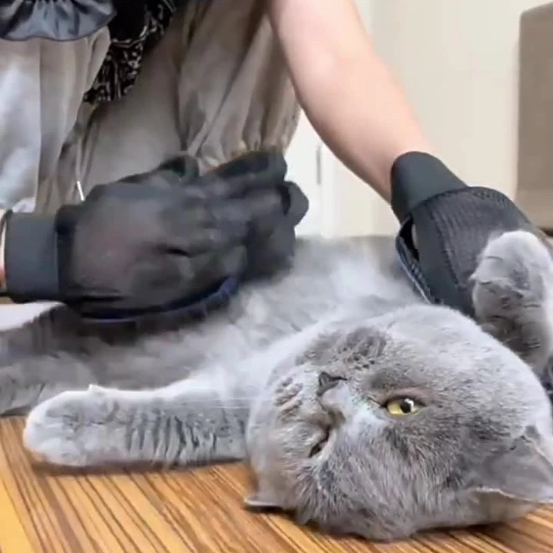 Guanti in silicone per toelettatura animali – rimuovi peli e massaggia