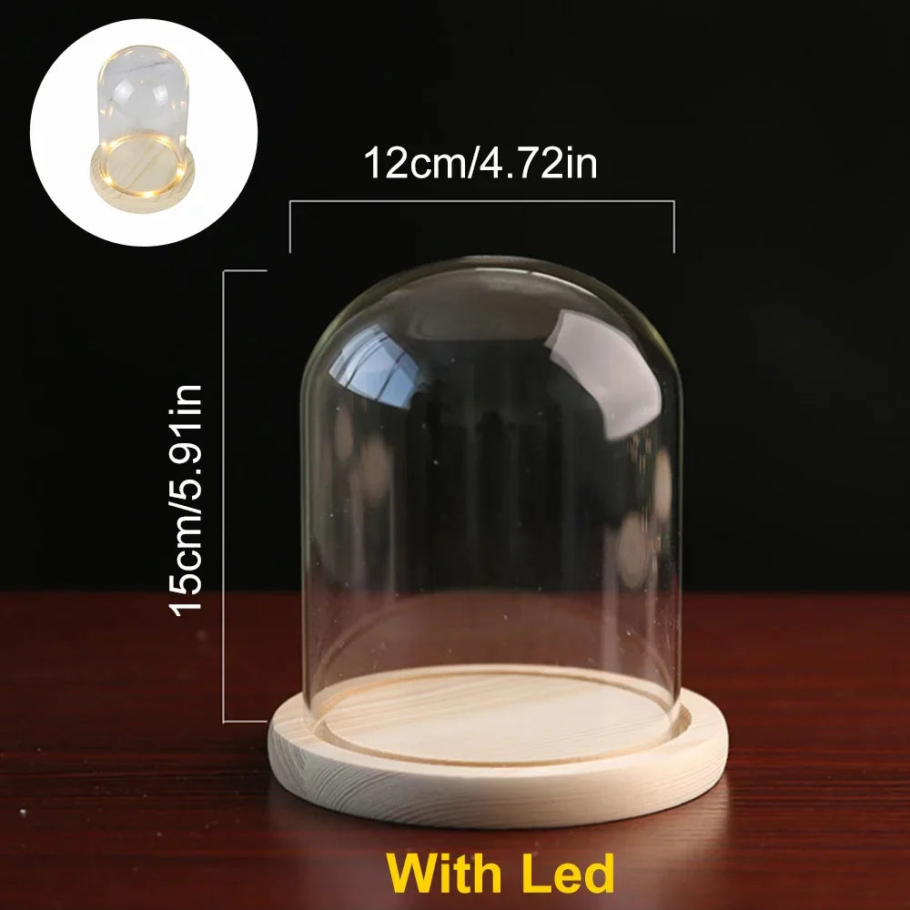 Cupola Vetro Legno LED - Vassoio Decorativo Fiori Permanenti