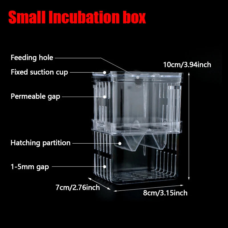Box isolatore per incubazione pesci – vasca alta trasparente per guppy