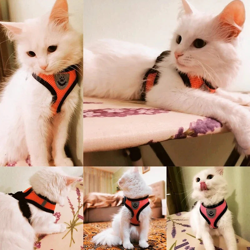Imbracatura regolabile in rete traspirante per cani e gatti – colori vari