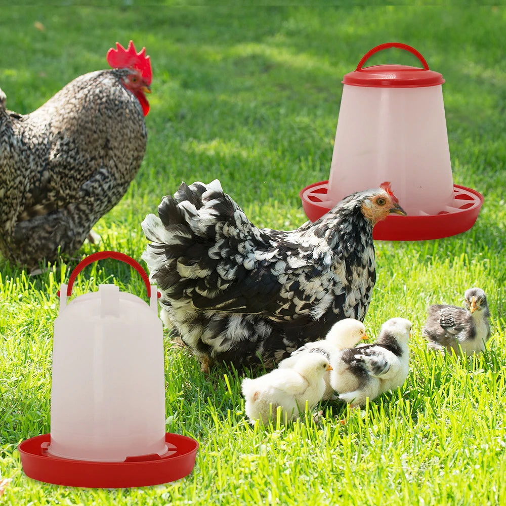 Distributore automatico di cibo e acqua per galline 3L/3kg – contenitore…