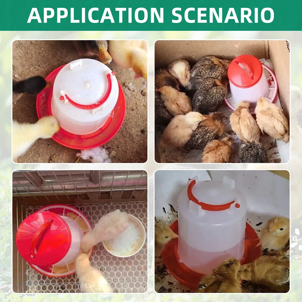 Distributore automatico di cibo e acqua per galline 3L/3kg – contenitore…