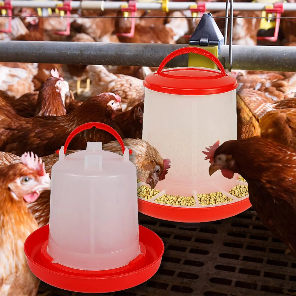 Distributore automatico di cibo e acqua per galline 3L/3kg – contenitore…