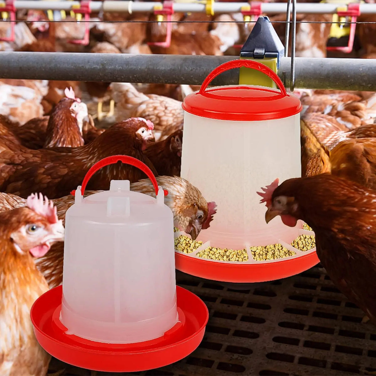 Distributore automatico di cibo e acqua per galline 3L/3kg – contenitore…