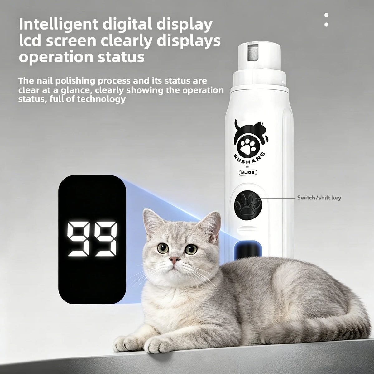 Lucidatore unghie con display LCD e 3 punte regolabili, per cani e gatti