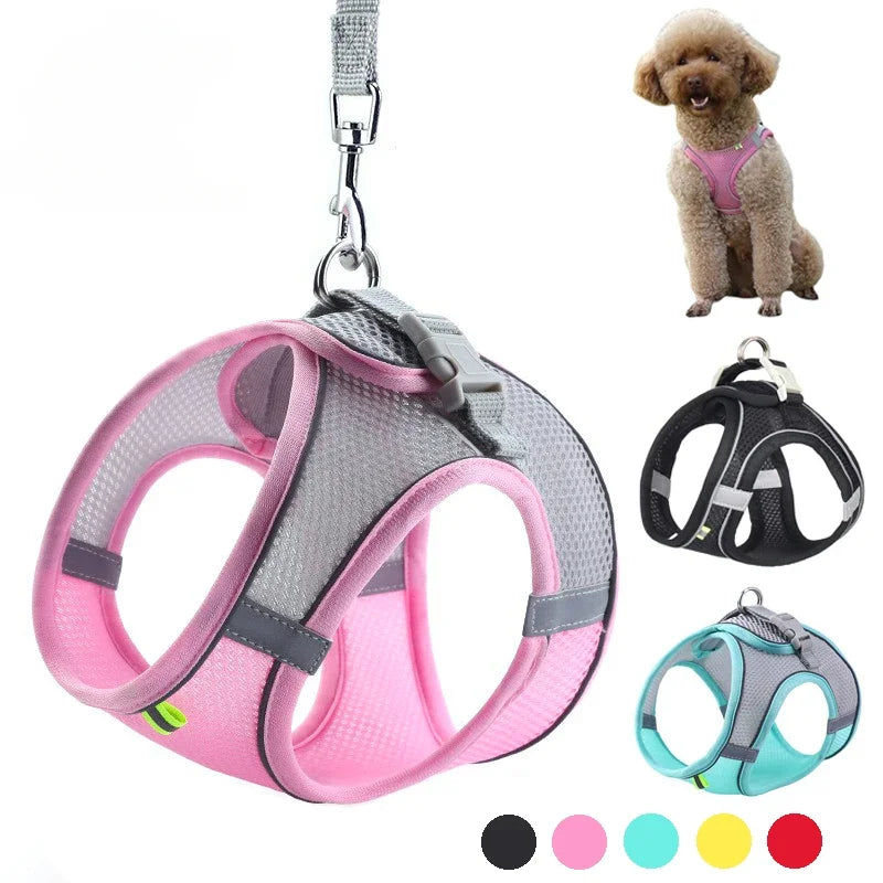 Imbracatura per Cani Piccoli con Guinzaglio, Harness Regolabile in Nylon,…