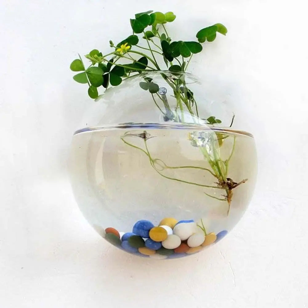 Transparent Glass Vase Wall Hanging Hydroponic Terrarium Fish Tanks Potted Plant Flower Pot Dia 8cm/10cm/12cm/13cm/15cm