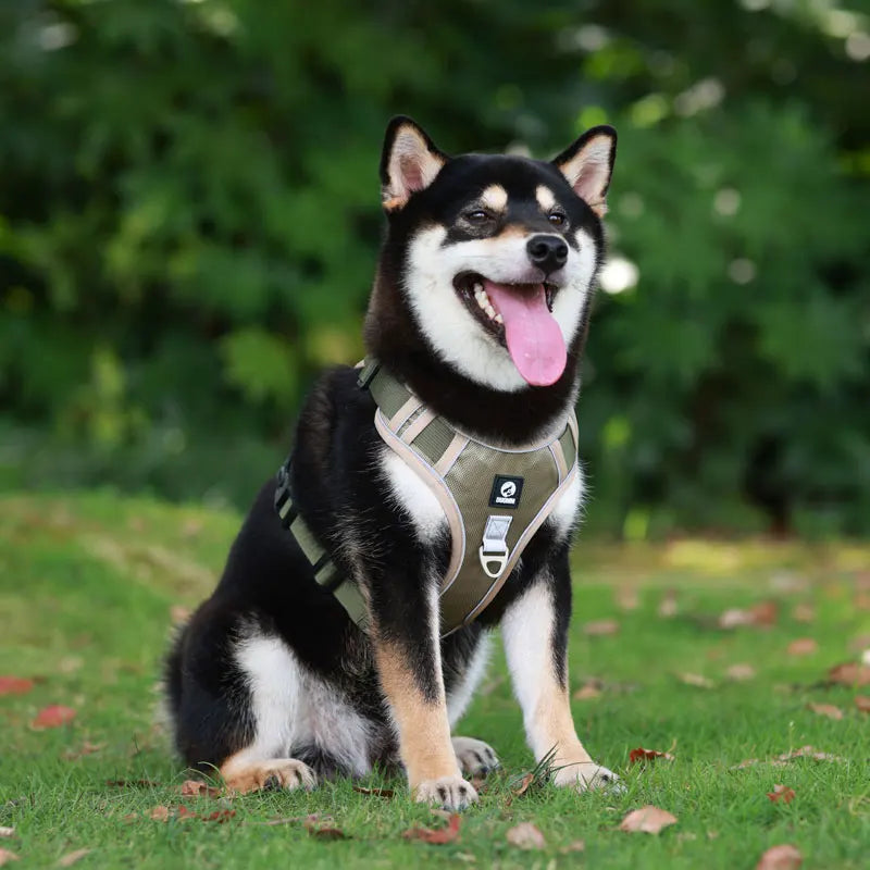 Imbracatura Canina Quick Release in Nylon, Traspirante e Regolabile