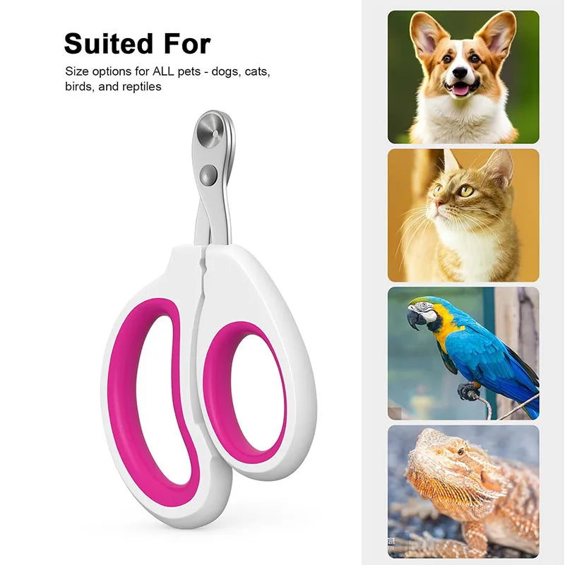Tagliaunghie per Animali Piccoli - Forbici Professionale per Gatti, Conigli,…