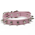 Collare per cani e gatti in PU colorato con borchie metalliche regolabile