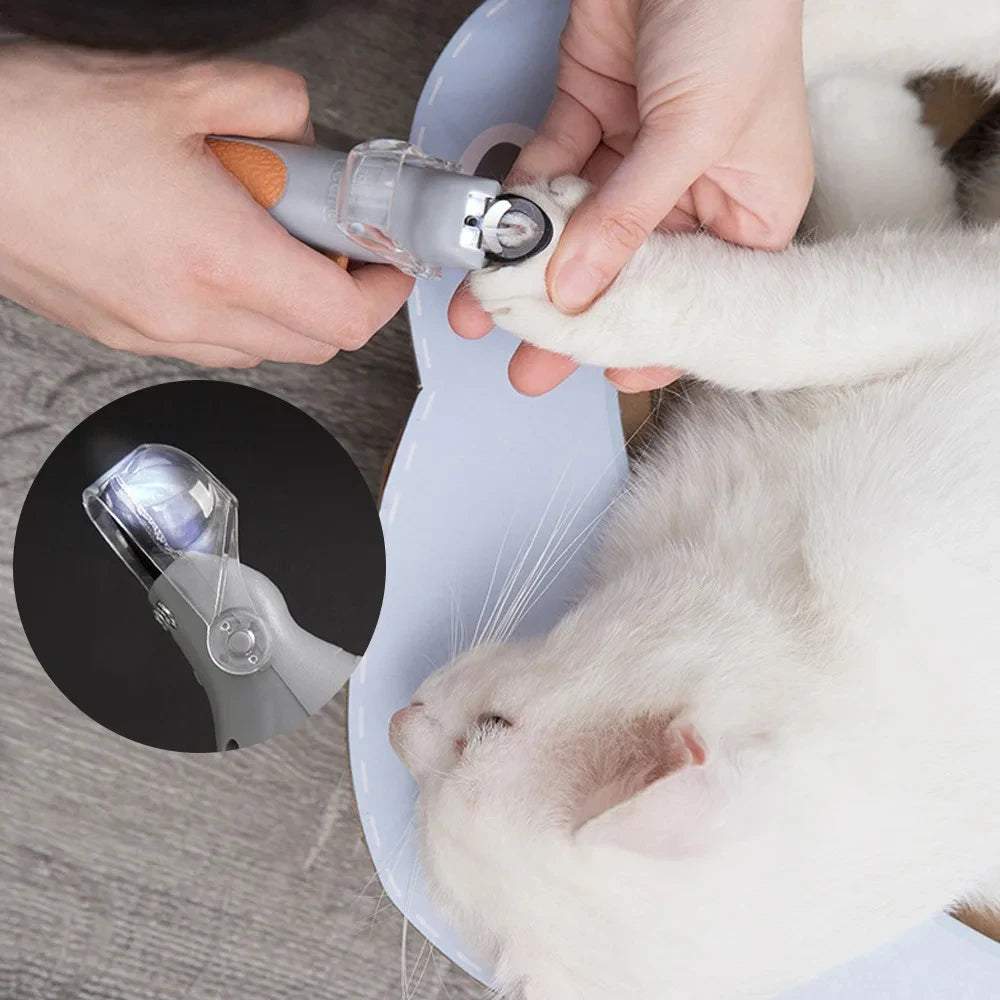 Tagliunghie professionale per animali con luce LED – forbici in acciaio inox