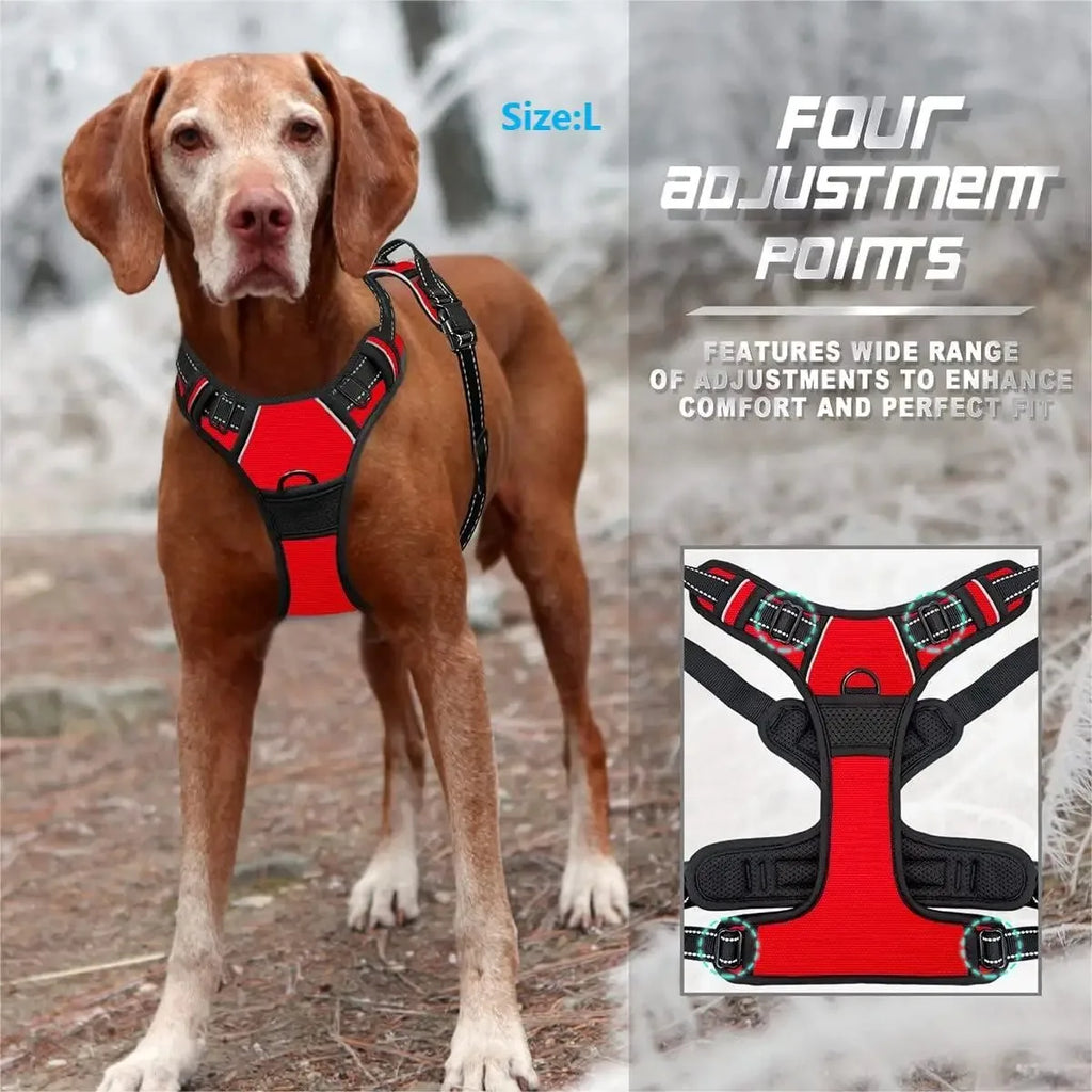 Set Collare e Imbrago a Gilet per Cani di Taglia Media e Piccola