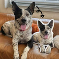 Cuscino 3D Personalizzato per Animali – Forma a Gatto o Cane, Ricordo in Peluche