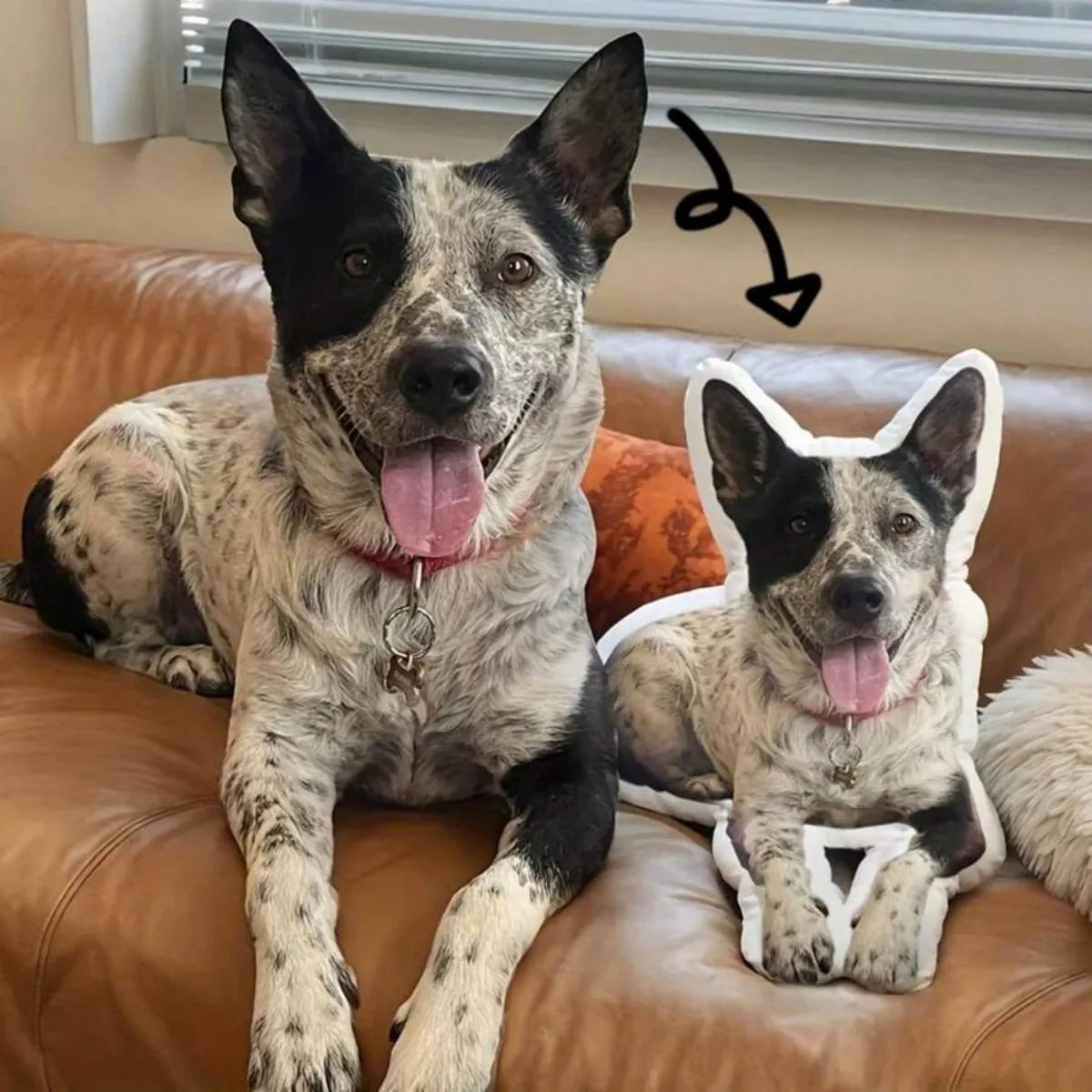 Cuscino 3D Personalizzato per Animali – Forma a Gatto o Cane, Ricordo in Peluche