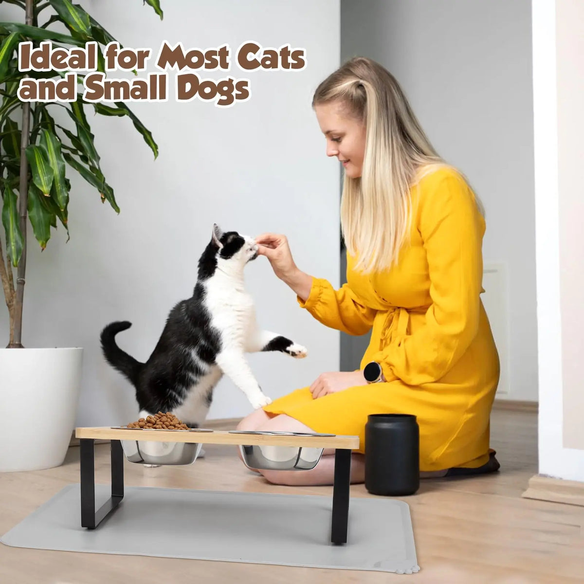 Ciotole elevate per gatto con vassoio antiscivolo, 15° inclinato, 2 ciotole inox