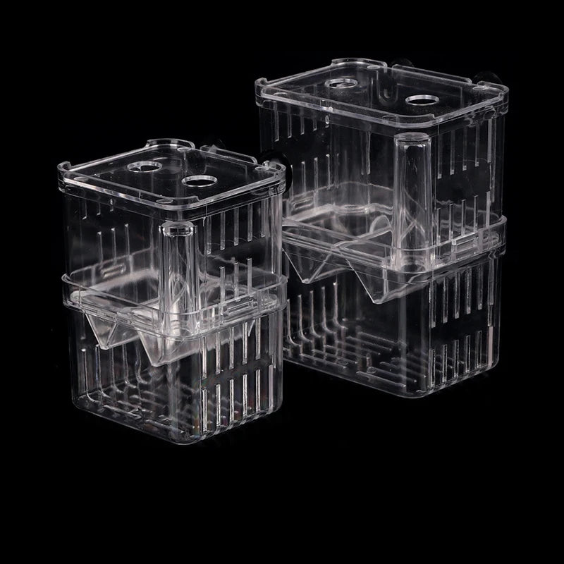 Box isolatore per incubazione pesci – vasca alta trasparente per guppy