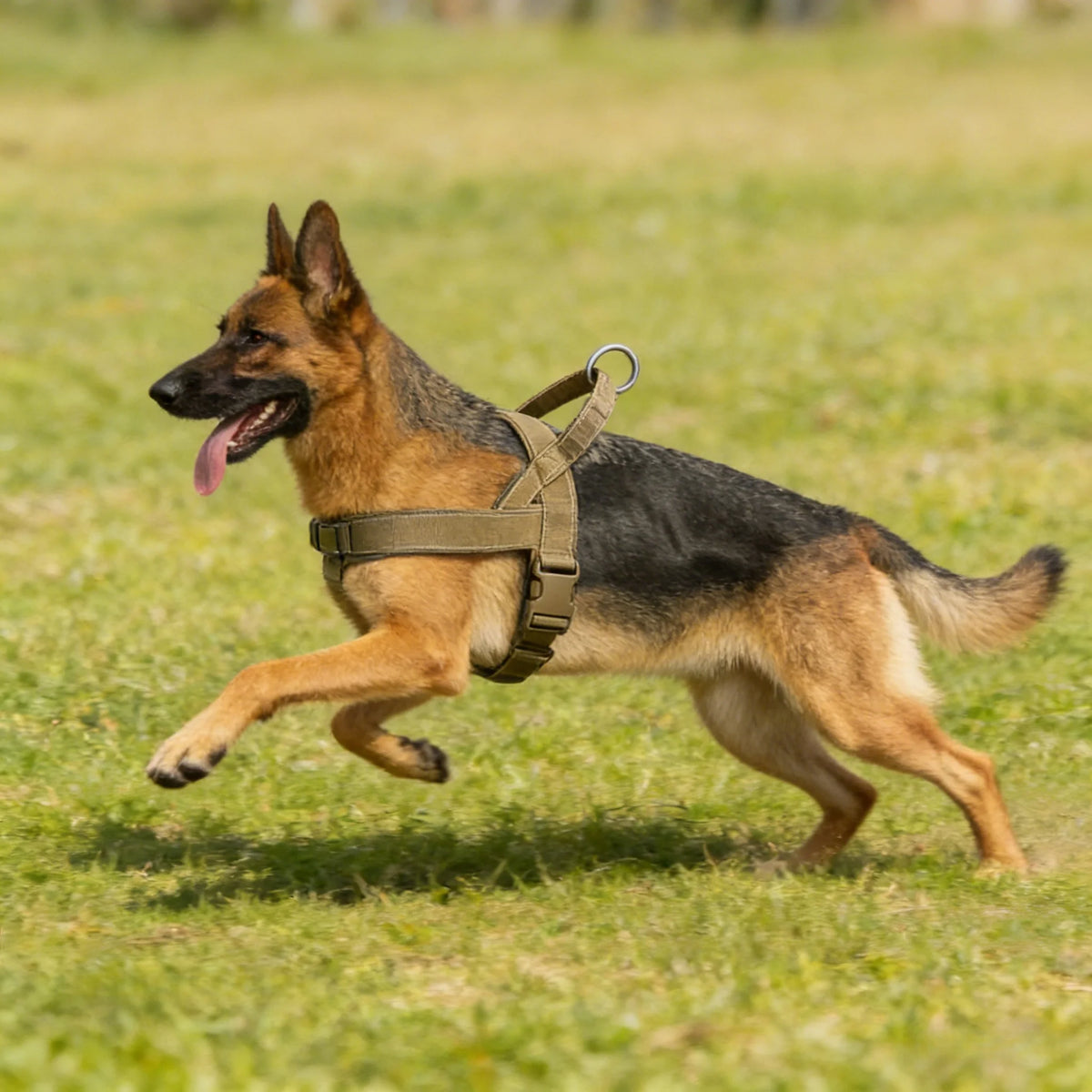 Imbracatura anti-tiro per cani grandi, resistente e riflettente