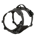 Set Collare e Imbrago a Gilet per Cani di Taglia Media e Piccola