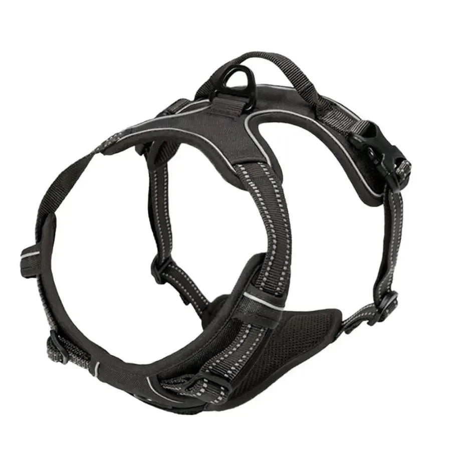 Set Collare e Imbrago a Gilet per Cani di Taglia Media e Piccola