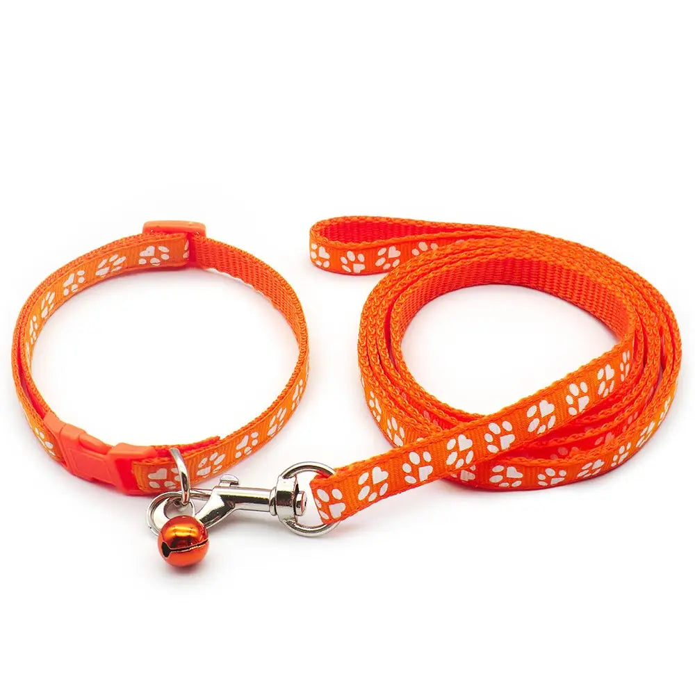 Set guinzaglio e collare per cucciolo 1,2 m in nylon resistente –…